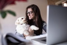 養狗會暴露主人的性格，想了解對方是什麼樣的人，就看他養什麼狗-頭條楓林網