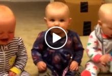 你有想過生籃球隊嗎？養五個小孩需要多大的勇氣-頭條楓林網