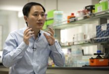 中共搞人體實驗？  ！ 基因編輯讓嬰兒免疫愛滋病 中國科學家遭國際譴責…-頭條楓林網