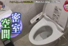 原來，中國人瘋搶的馬桶蓋，其實日本人不怎麼用……-頭條楓林網