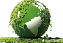 如今「火葬」已經過時了？新的墓葬方式引人注目-頭條楓林網