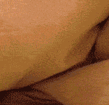 竟然和猛獸睡在一起......-頭條楓林網