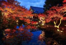 日本著名賞紅葉區發生大爆炸！網友聽說後反而紛紛前去拍照留念……-頭條楓林網