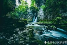 原來海底有個章魚「孵化基地」？它們聚集在一起保護後代-頭條楓林網