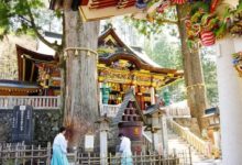 日本旅遊網站總結的遊客打卡地排名，日本人和外國人的完全不一樣…-頭條楓林網