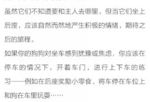 帶狗狗坐車出門、看獸醫？別害怕-頭條楓林網