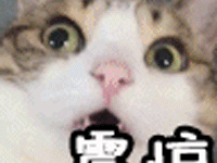 去日本迪士尼拍照的正確姿勢？原來這些年我都白去了……-頭條楓林網