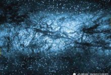 地球現在很危險？或許正處於銀河系的「尷尬」位置，情況緊急-頭條楓林網