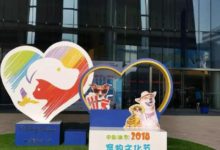 南京寵物文化節開幕首日看什麼-頭條楓林網