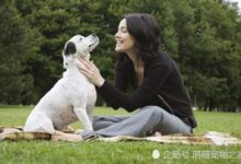 狗狗協助女主仰卧起坐，男友看到後說分手，只因獎勵太特別-頭條楓林網