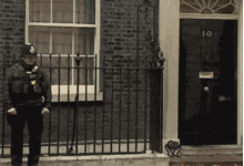 喵星人浪夠了回家，把警衛喊過來開門-頭條楓林網