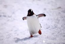 它出身於火星？科學家通過專業儀器檢測之後發現了火星的秘密-頭條楓林網