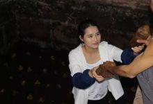 茅台一瓶2000？！我們為何必須支付這麼高的溢價，就沒有別的選擇嗎？-頭條楓林網