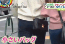 日本妹子不追LV，卻流行背這樣的包包，除了顯瘦以外還有個重要原因…-頭條楓林網