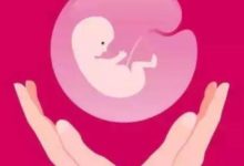 職業性有害因素對女性生育功能的影響-頭條楓林網