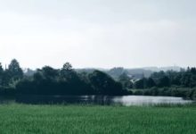 爆紅日本的鄉間小店，每周營業3天，靠賣巨丑的麵包年收一億多……-頭條楓林網