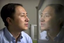 基因編輯嬰兒：賀建奎背景曝光 中共「千人計劃」成員之一 …-頭條楓林網