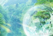 地球現在已經進入緊急情況？或許未來生態環境堪憂-頭條楓林網