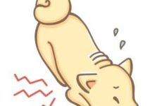 養狗總出問題？那是你不知道這些知識……-頭條楓林網