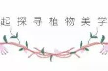 5年沒工作，她把家種進山海間，餘生背靠相思樹看潮起潮落-頭條楓林網