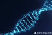 這項技術剛剛取得成果，便遭聯名譴責！網友議論紛紛-頭條楓林網