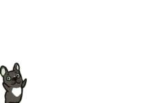 這裡是狗生的「easy模式」，它到底什麼樣？-頭條楓林網