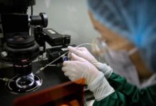 賀建奎團隊敢殺人：基因編輯若出錯 嬰兒將被“處理”-頭條楓林網