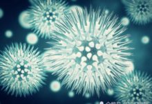 體內的病毒基因並不全是「壞蛋」，能夠活著全是因為它的存在-頭條楓林網