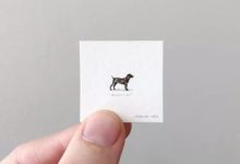 給螞蟻的明信片，精緻絕倫的迷你繪畫！-頭條楓林網