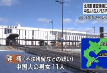 46名中國人在日本北海道集體失蹤，另有11名被捕！-頭條楓林網