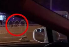 被最愛的人囚禁虐待12年後：下輩子，我再來愛你。-頭條楓林網