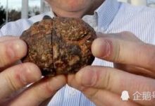 距今50萬年的石頭，內部存在疑似火花塞的物體，自然形成的嗎？-頭條楓林網