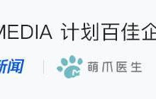 我的貓下巴怎麼變黑了……-頭條楓林網